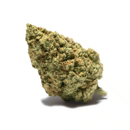 Flor de CBD Premium Funky Monkey 2g Cannactiva 2