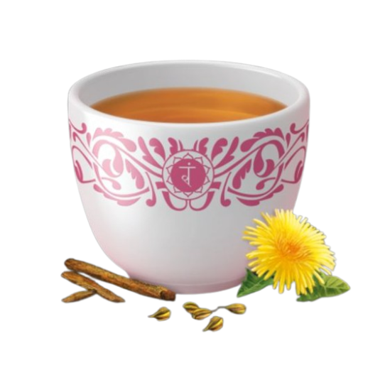 Yogi Tea Detox 17 filtros