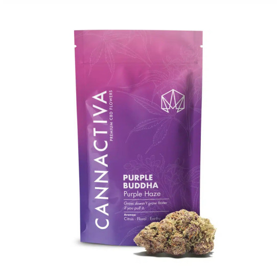 Flor de CBD Premium Purple Buddha-Purple Haze 2g Cannactiva