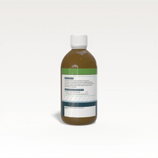 Arandano rojo concentrado 250ml Sotya