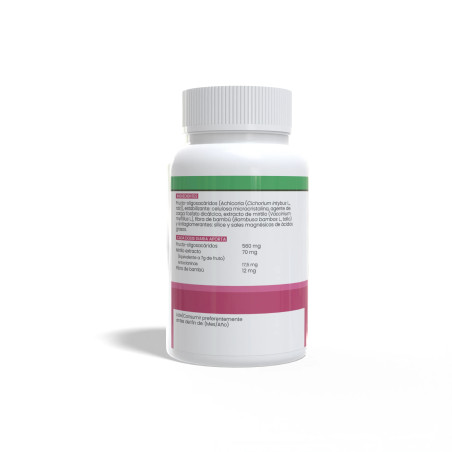 Mirtilo Arandano 500mg 100 comprimidos Sotya