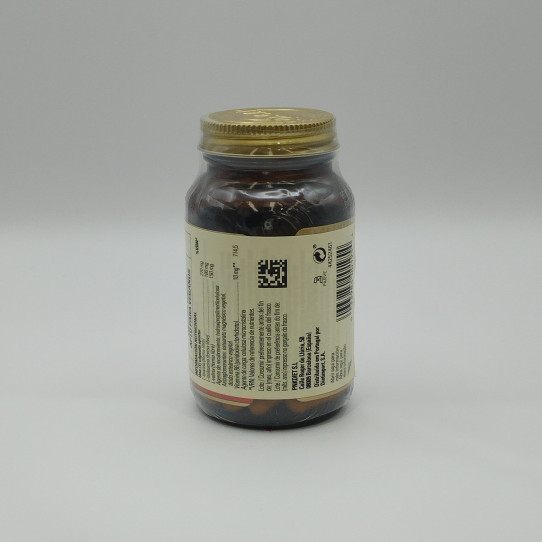 BCAA Plus 50 vcaps Solgar