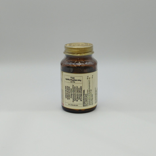 Ginkgo Biloba 60 caps Solgar