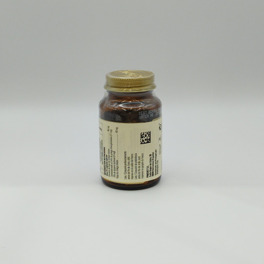 Ginkgo Biloba 60 caps Solgar