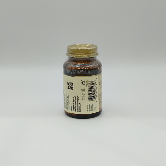 Ginkgo Biloba 60 caps Solgar