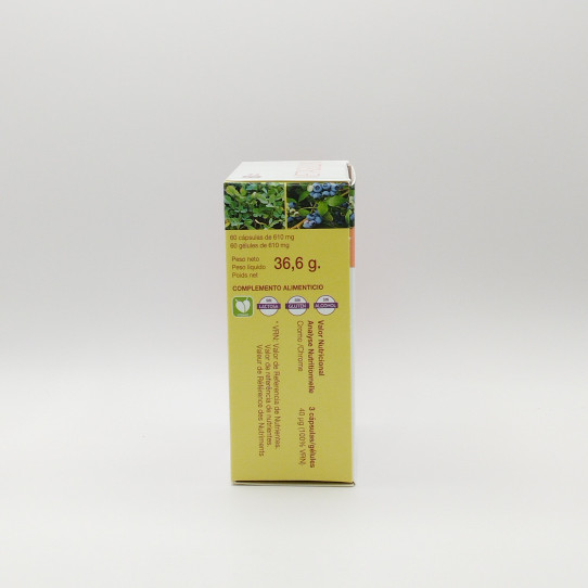 Metasulin 60 cápsulas Bioserum