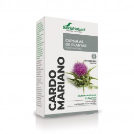 Cardo Mariano 30 capsulas...