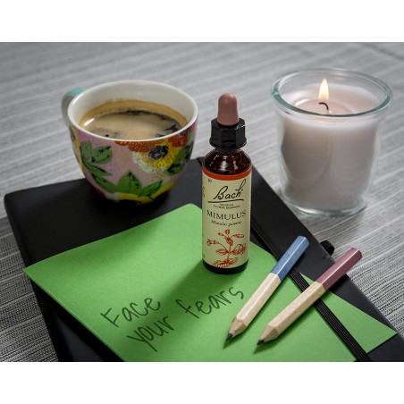 afronta tus miedos con la flor de bach mimulus